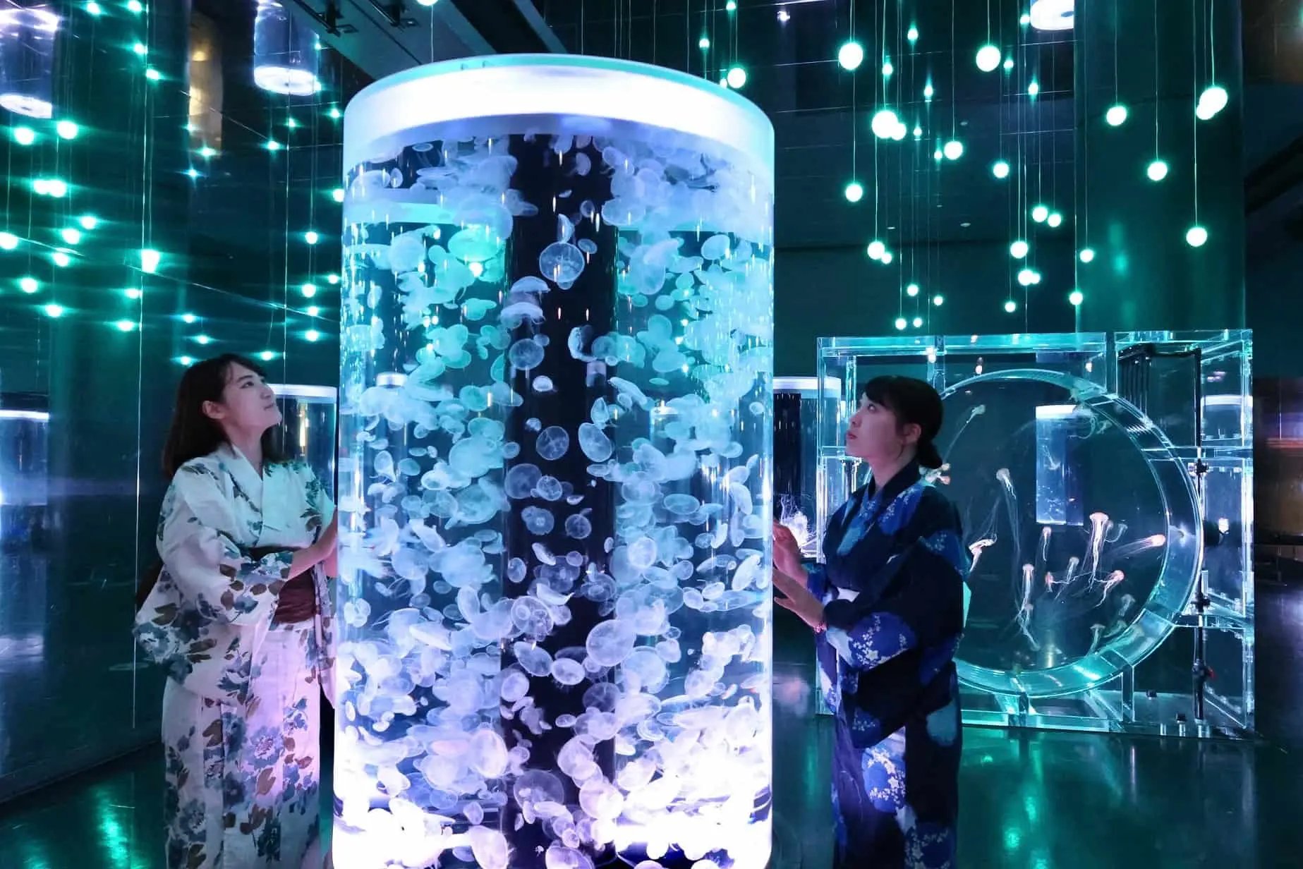 🐬 맥셀 아쿠아파크 시나가와 이미지 7